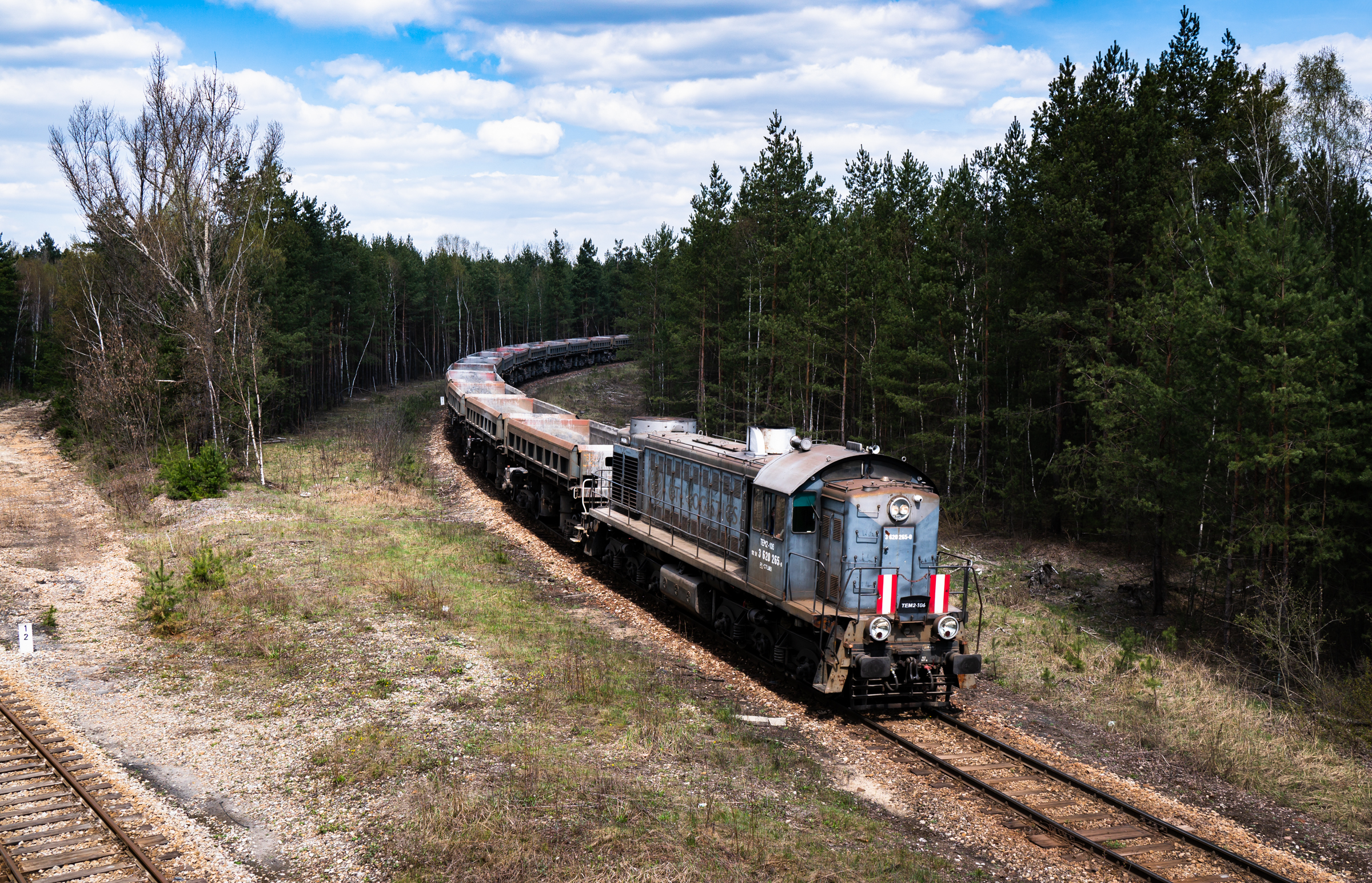 TEM2-106 z radwanami do "Piasta"