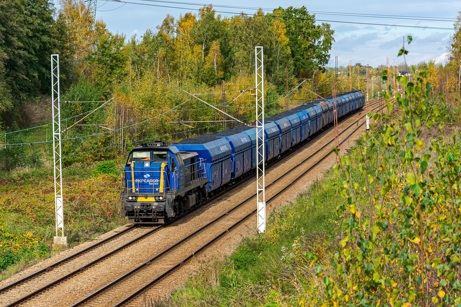 Tamarą po szkodach górniczych