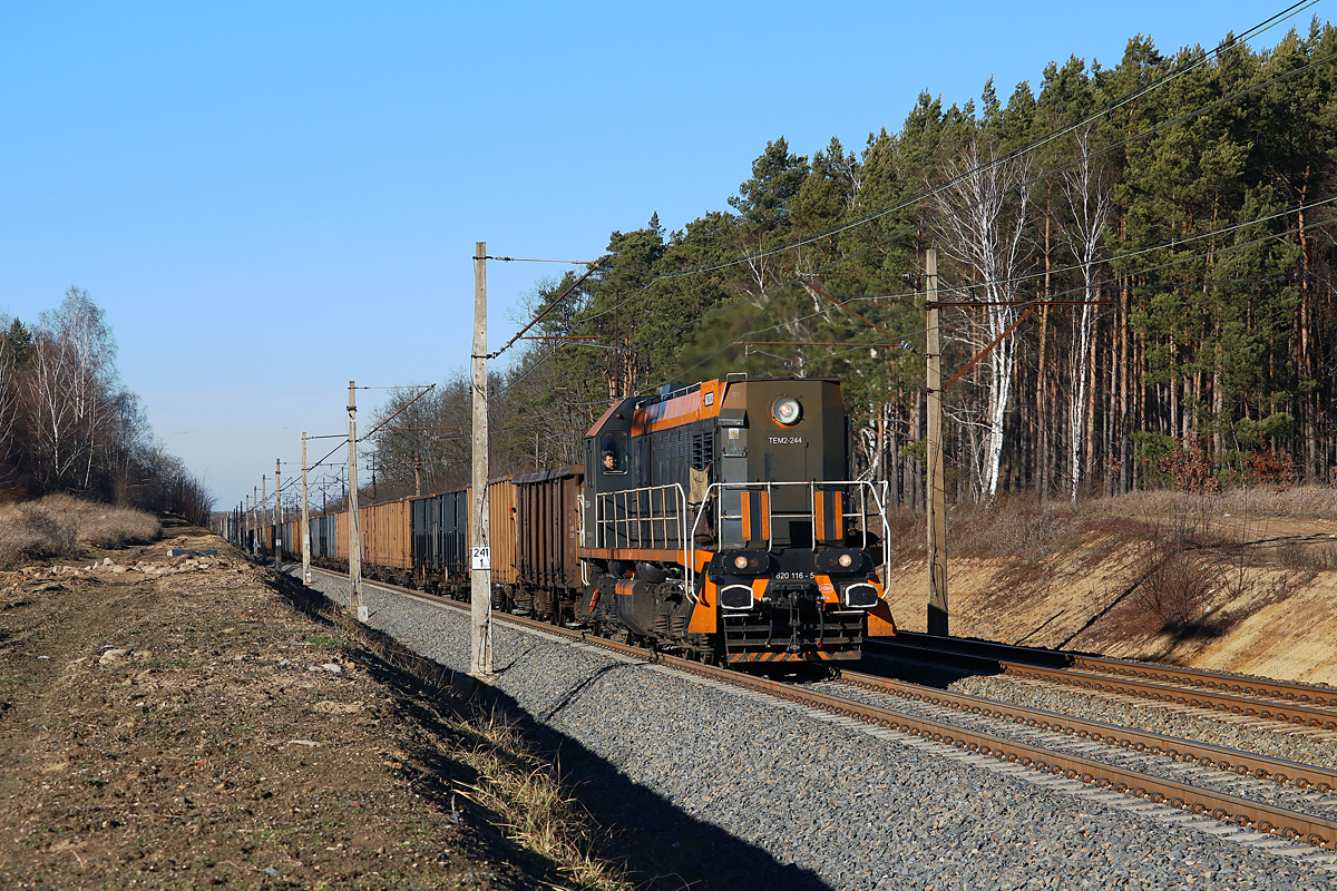 Tamara na nadodrzance