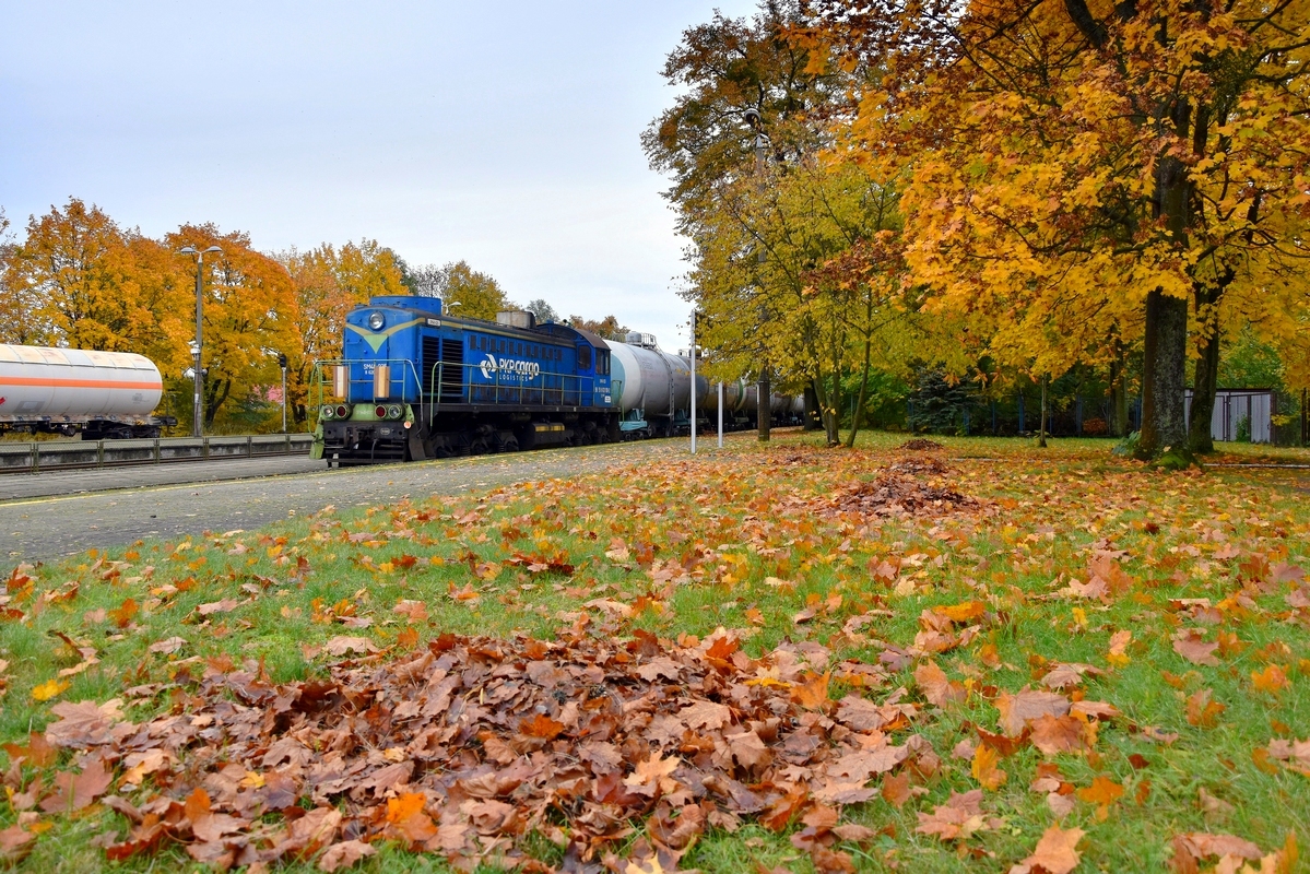 Jesienne manewry Tamary