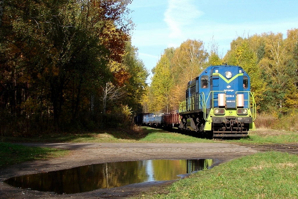 Ballada o Tamarze...