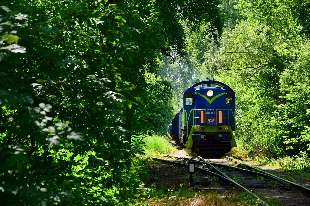 Klimatyczne klimaty "Klimatycznej"