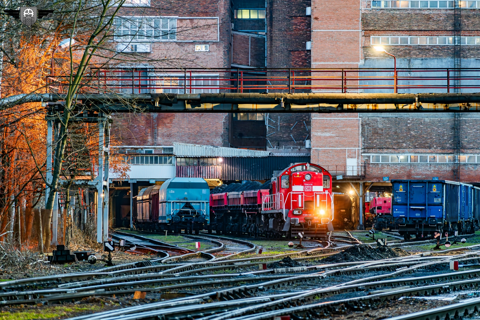 Tamara na Chwałowicach