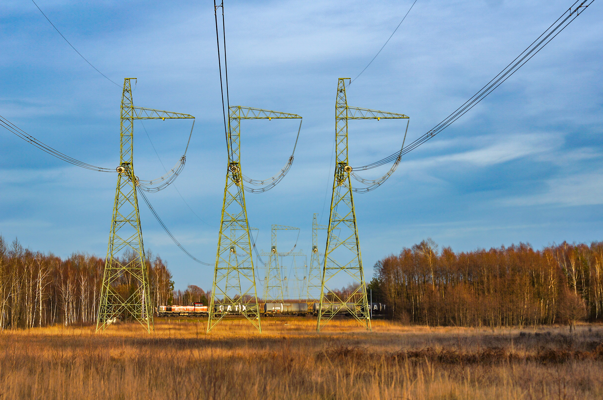 Kolosy o złotej godzinie