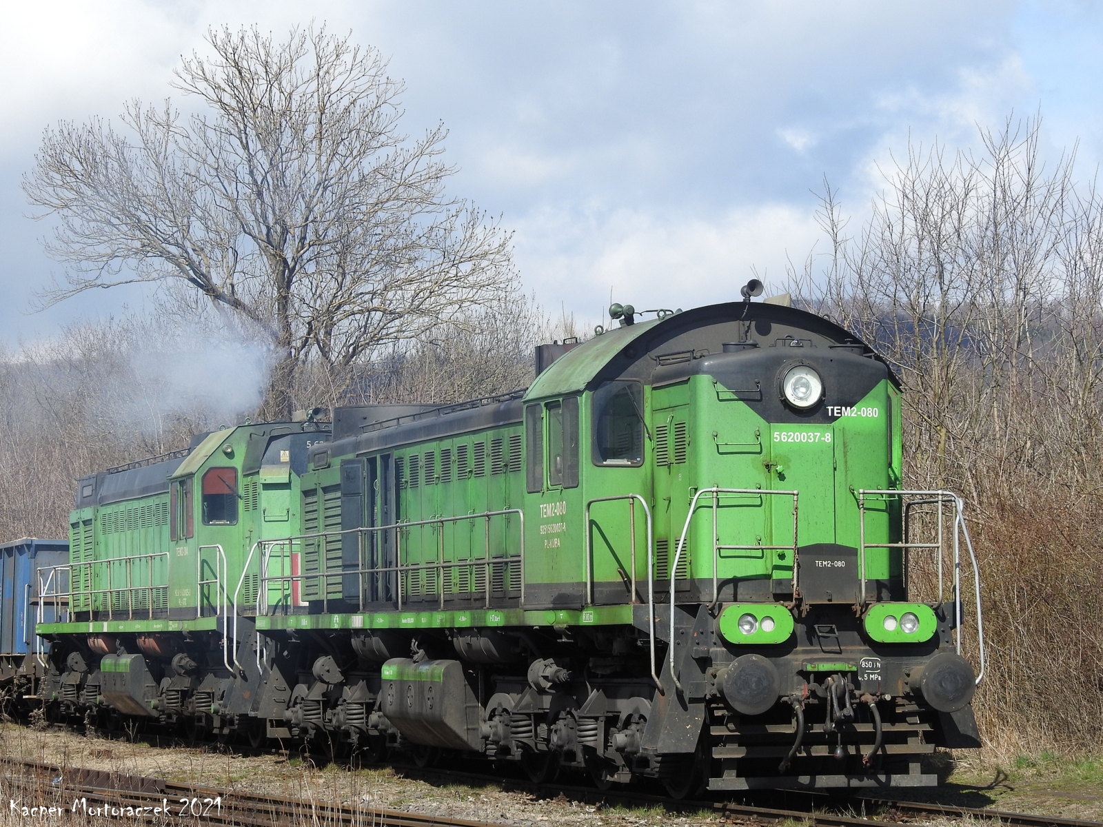 Tym czasem w Wojcieszowie