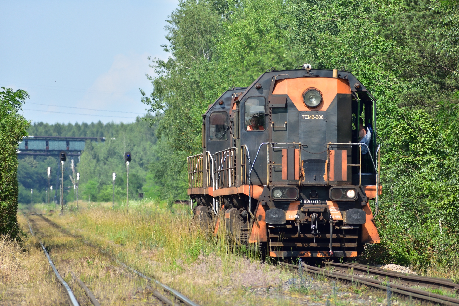 Dwie tamary po skład