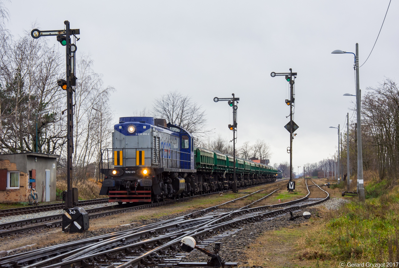 Klasyczna Rogoźnica