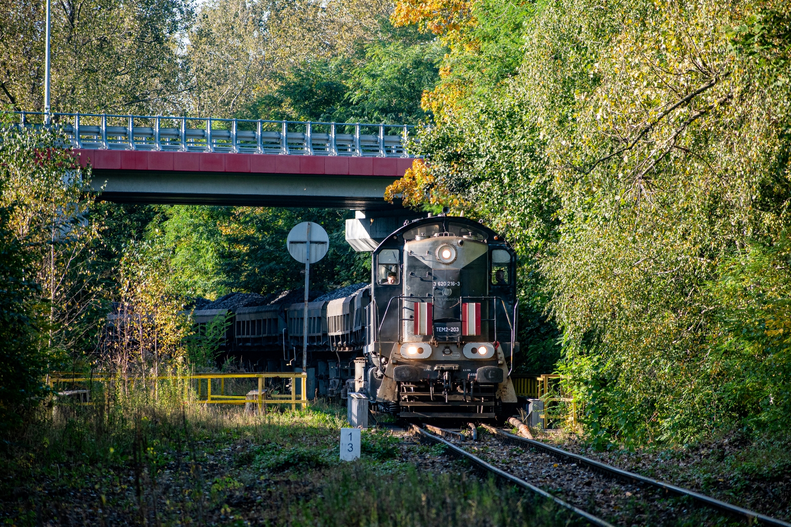Staszic [prawie] na Borze