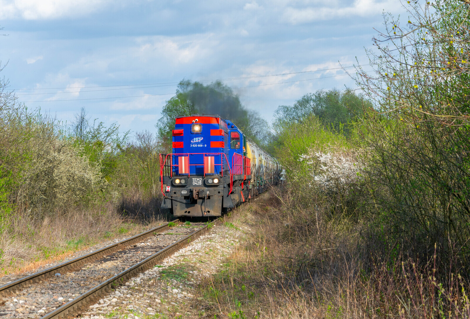 IRT z gazem przez krzaki