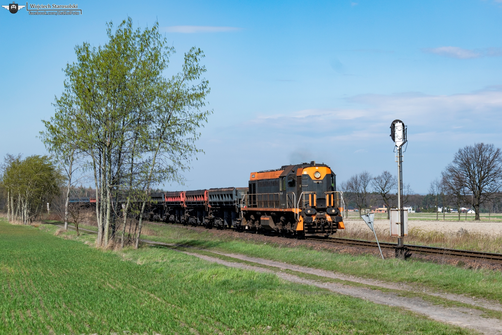 Pierwsze oznaki wiosny