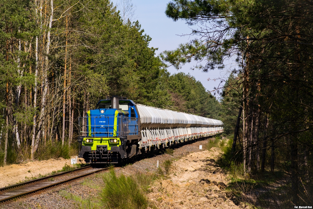 Turbotamara w leśnym gąszczu