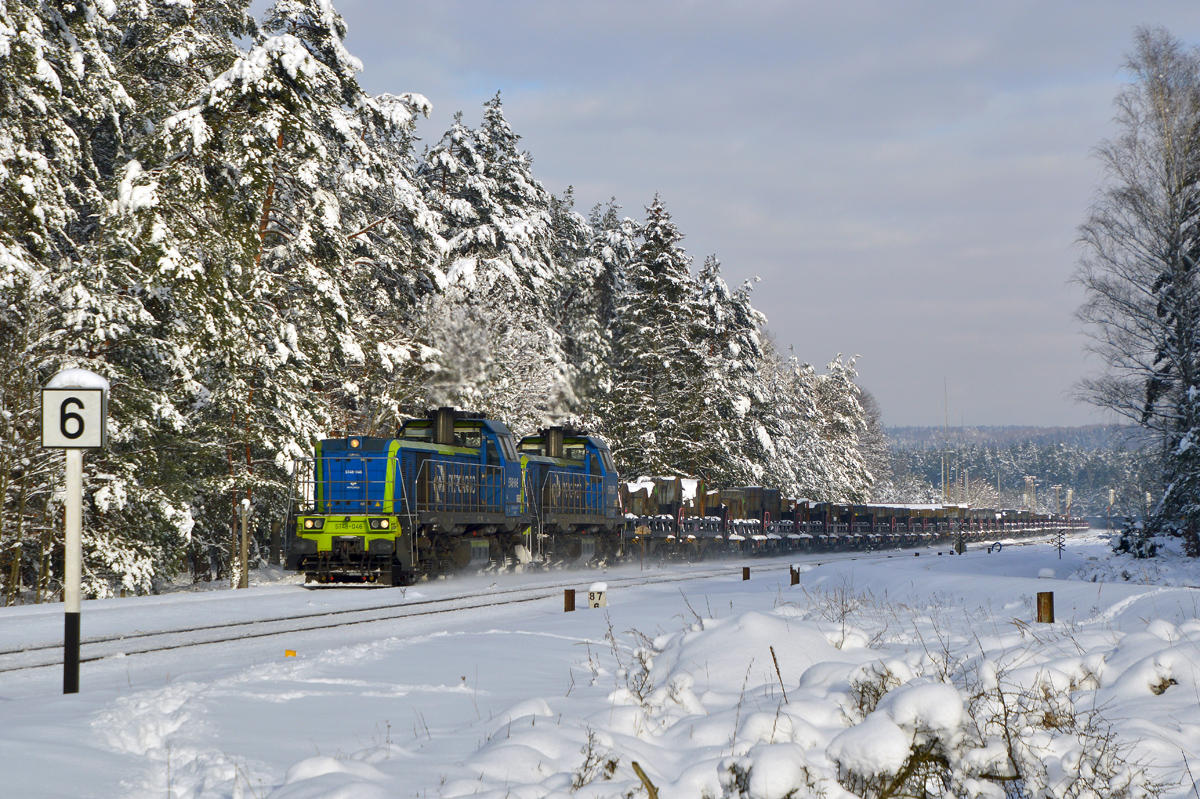 Śnieżny Zwierzyniec