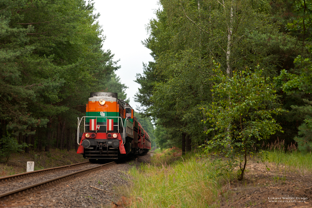 TEM2-183 z ZWR Polkowice