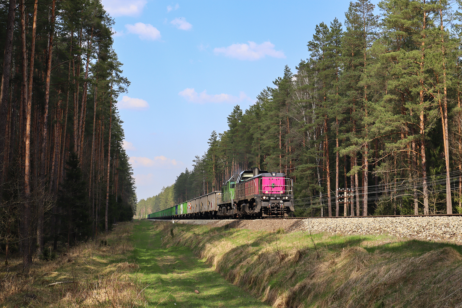 Różowy i zielony ze żwirem