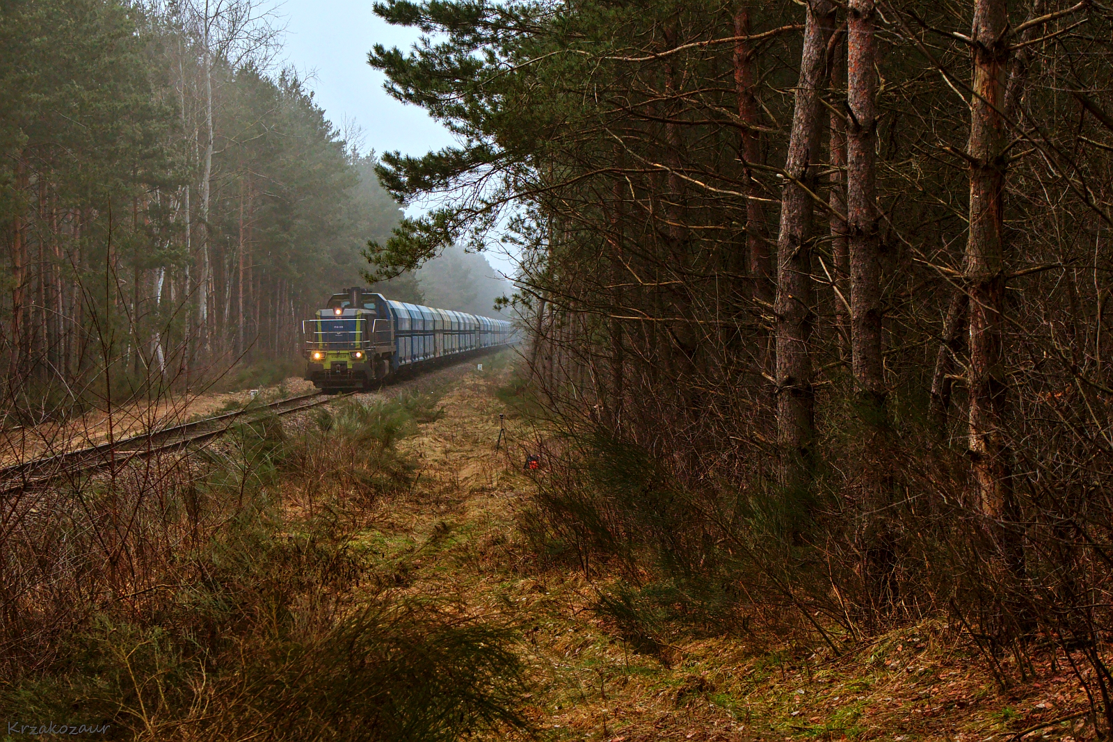 Królowa Bełchatowianki