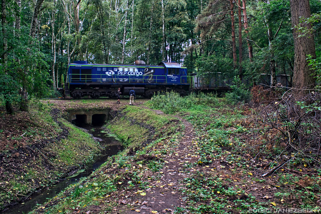 W samym sercu puszczy