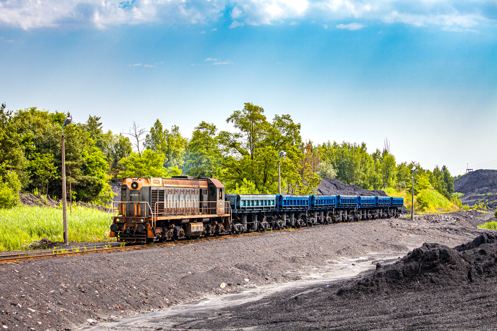 Tamarą po knurowskim śmietniku