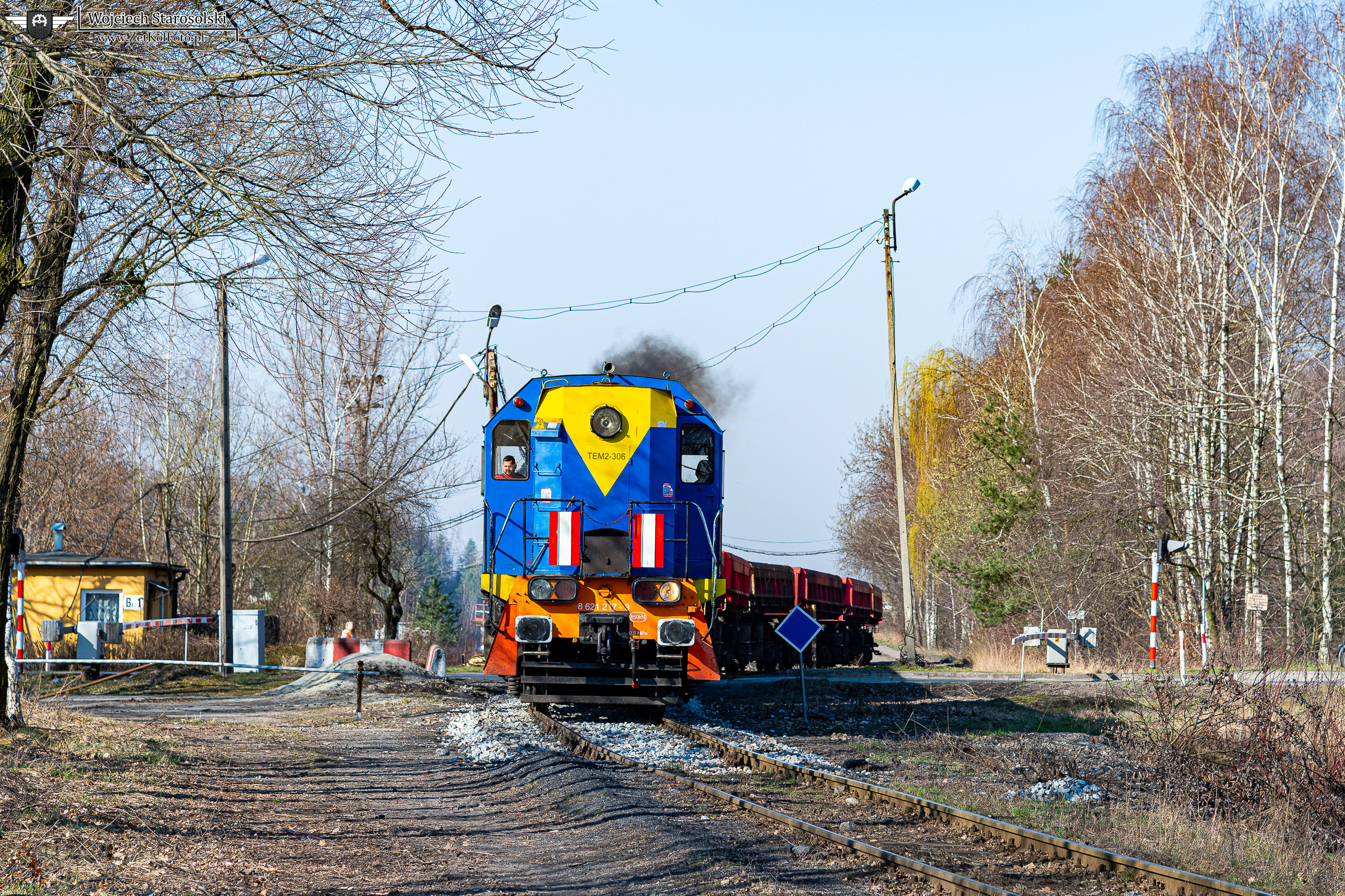 Świętokrzyski przybysz