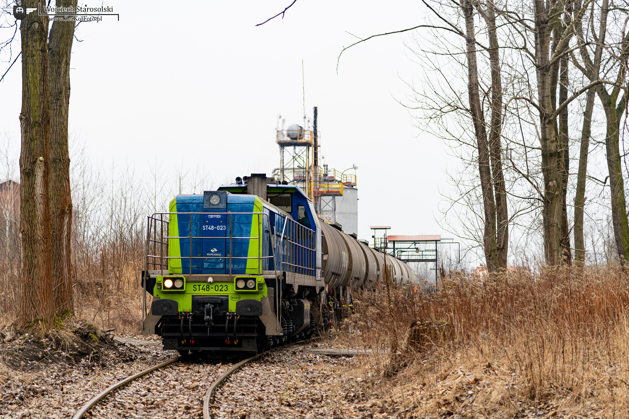 Zarośnięta bocznica