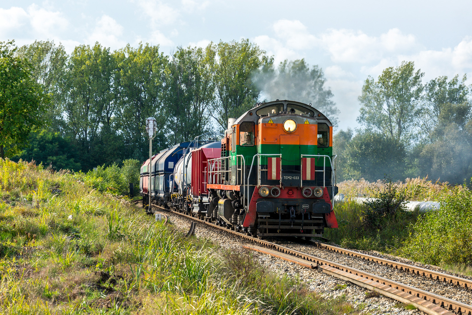 Ostatnia klasyczna Tamara