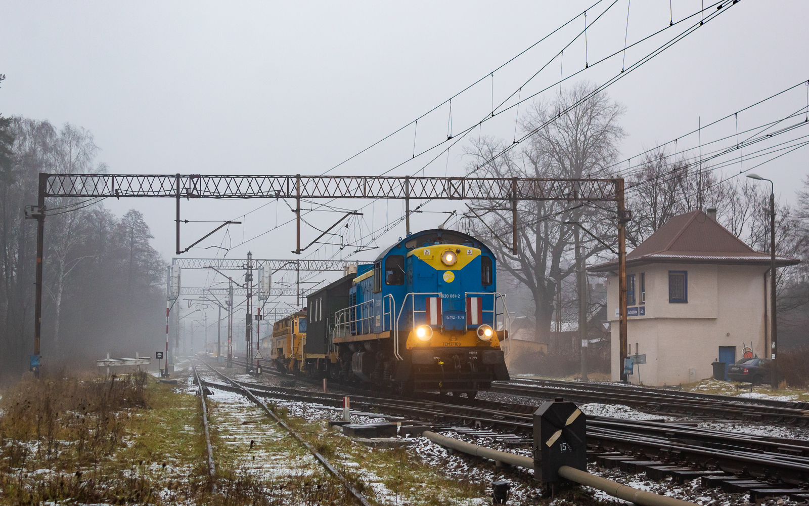 Tamara w ponure grudniowe popołudnie
