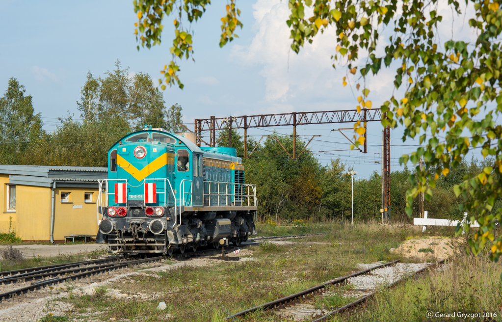 Tamara pod drzewkiem