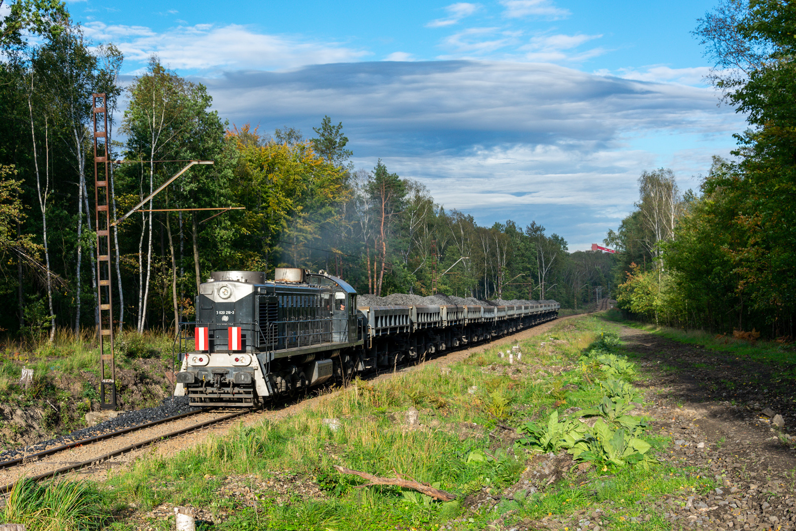 Z Tamarą wśród lasów