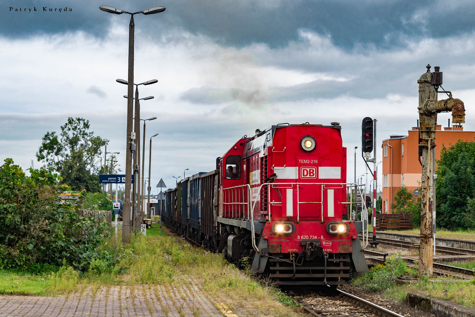 Tamarą do Chruściela