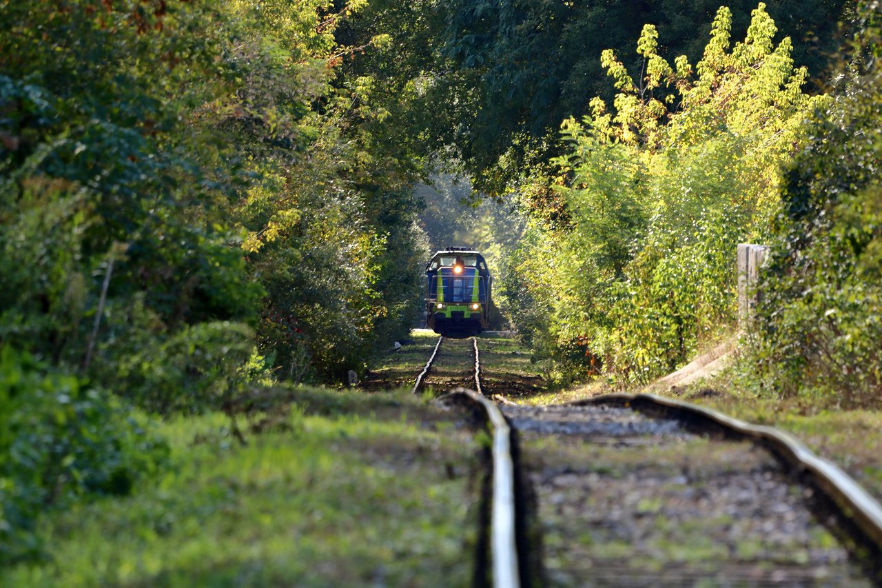 Leśną ścieżką ...ST48-027
