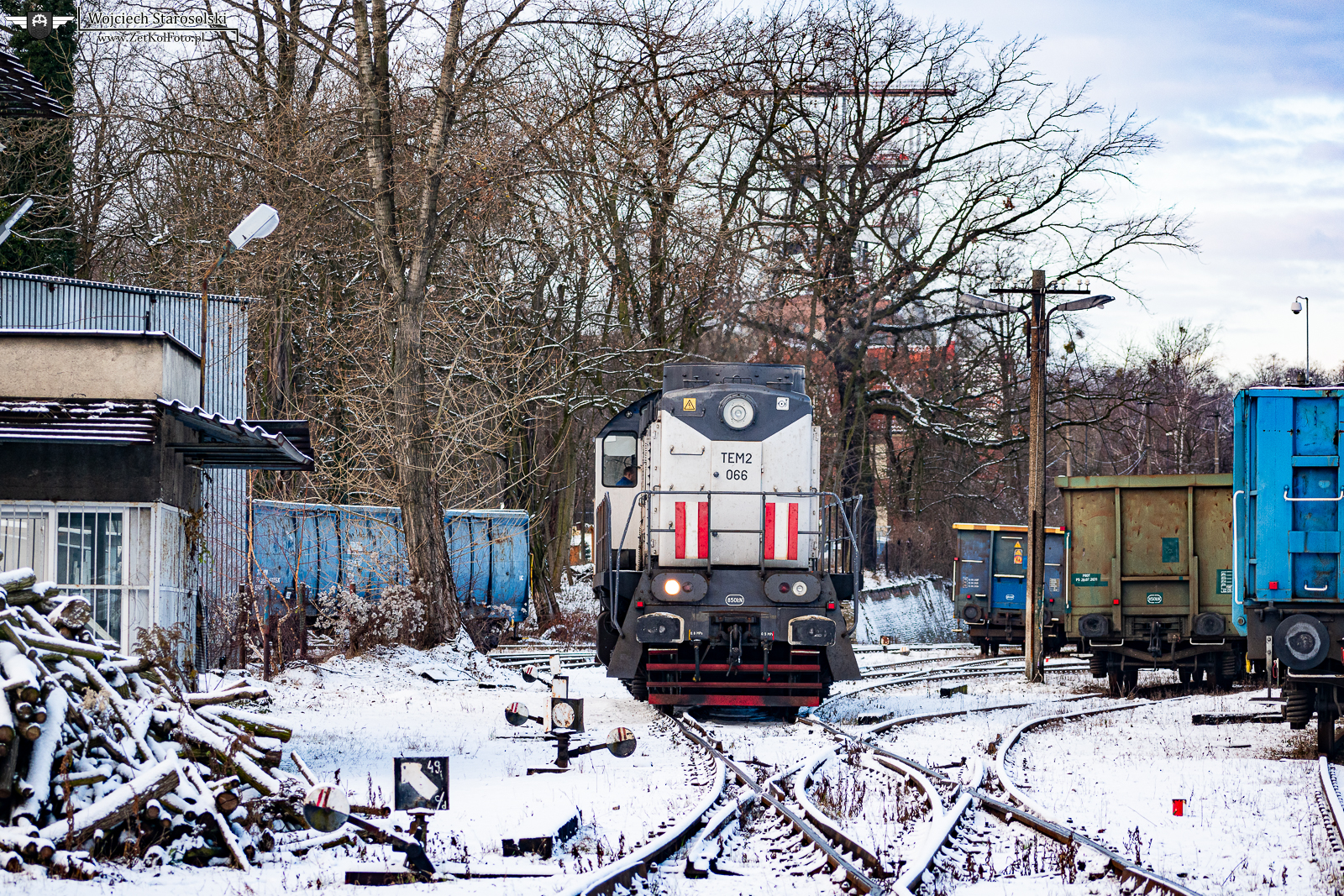 Pstrowski Drugi-Jeden