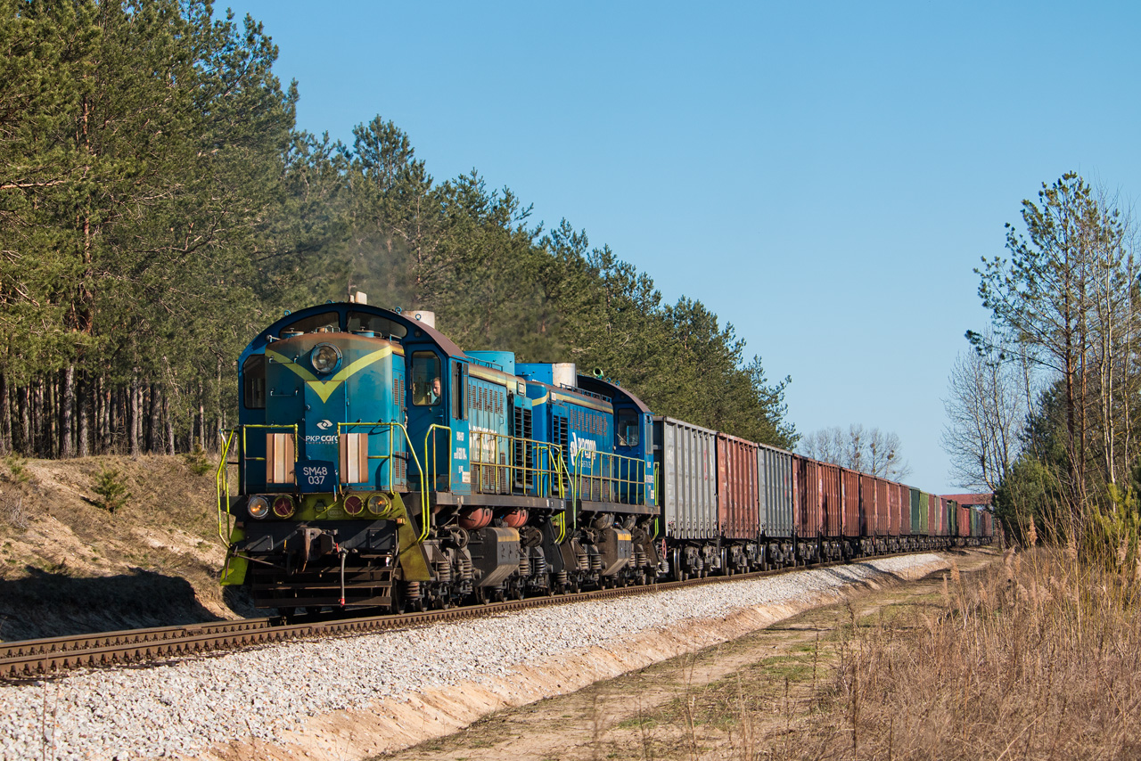 Bocznica szerokotorowa