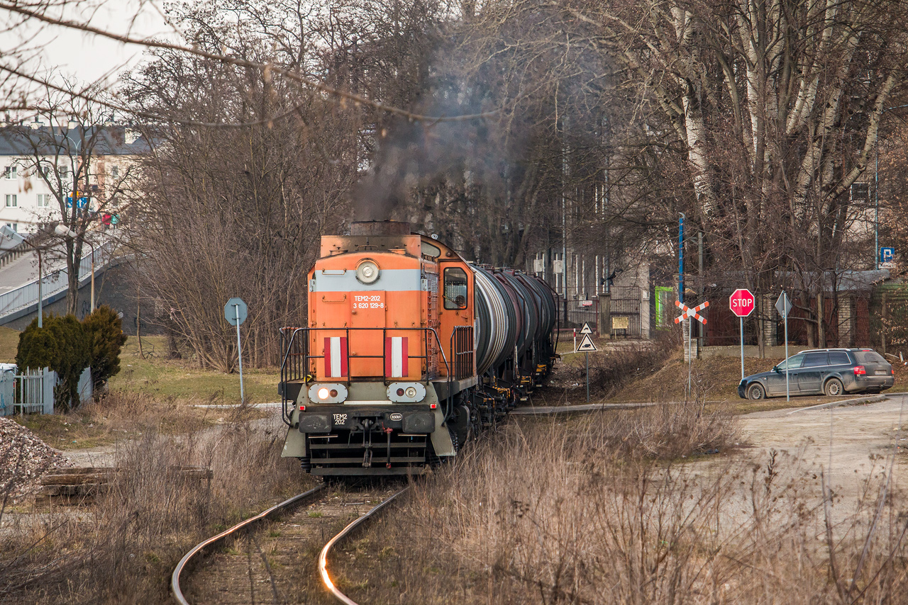 Tamarą przez miasto