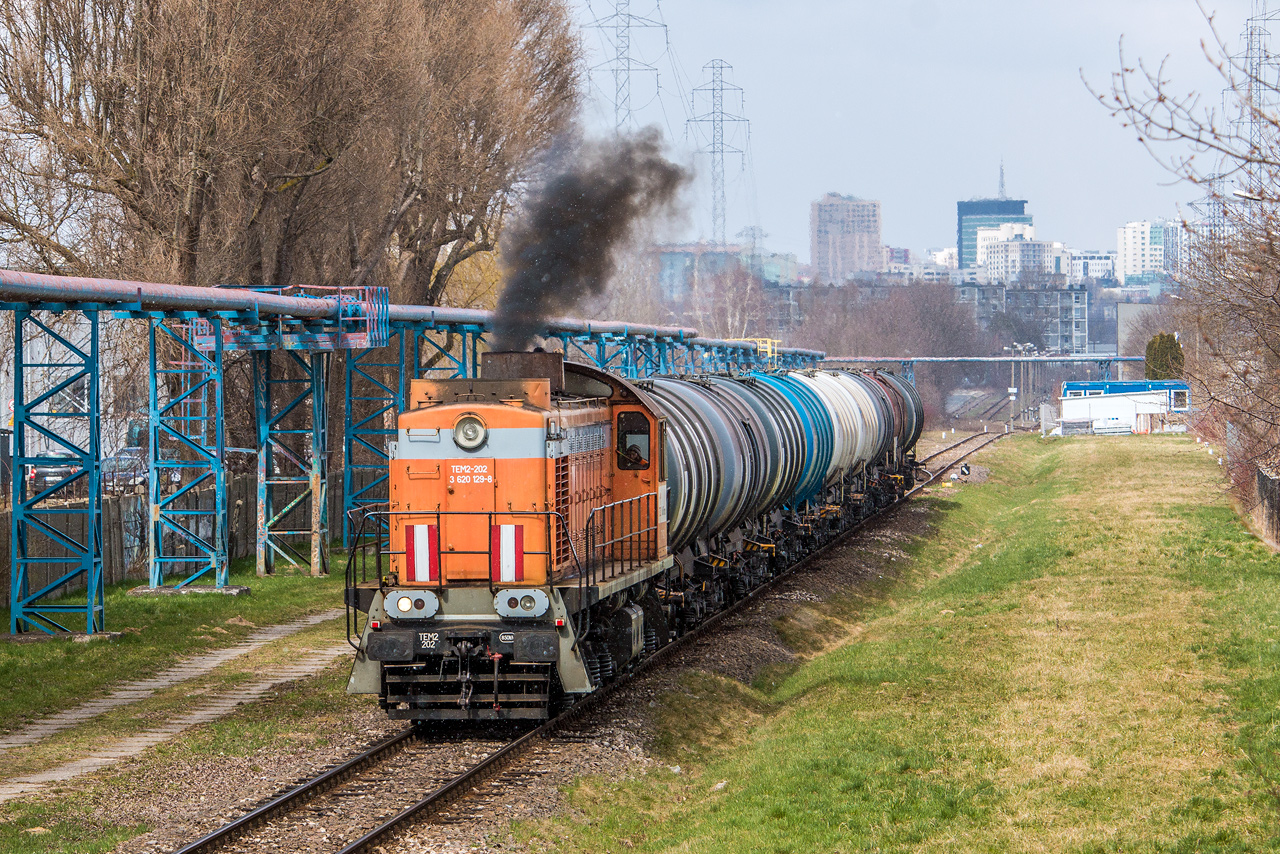 Trochę zimy, trochę lata