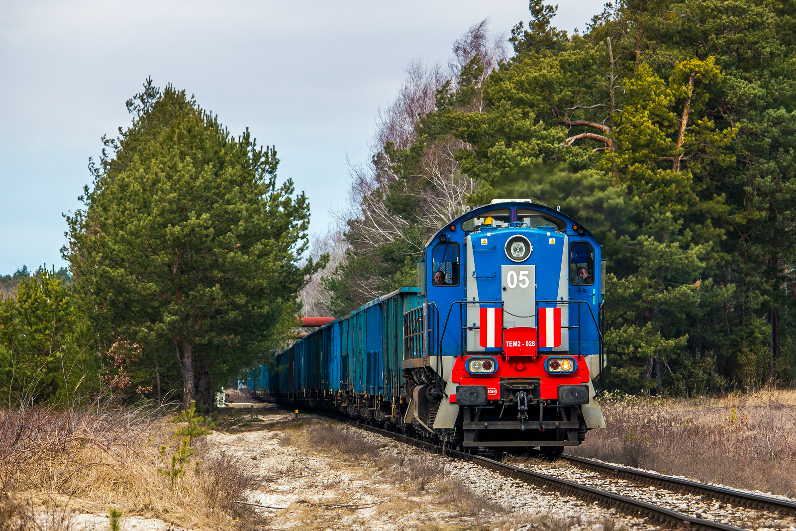 Bocznicowa szlakówka