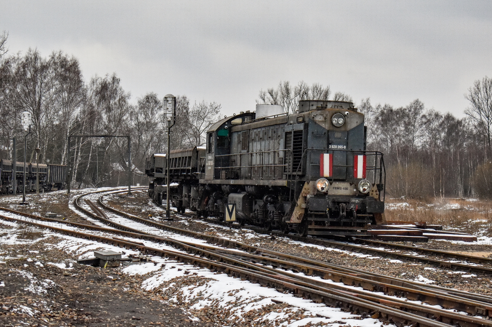 "Wiosennie" na Borze