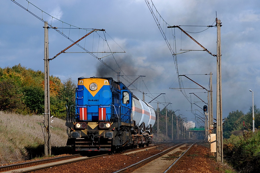 TEM2-296 [Hagans Logistic]