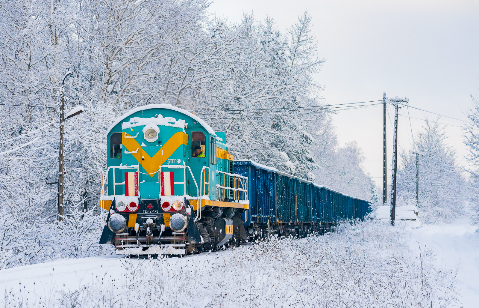 Zimowy Stefan