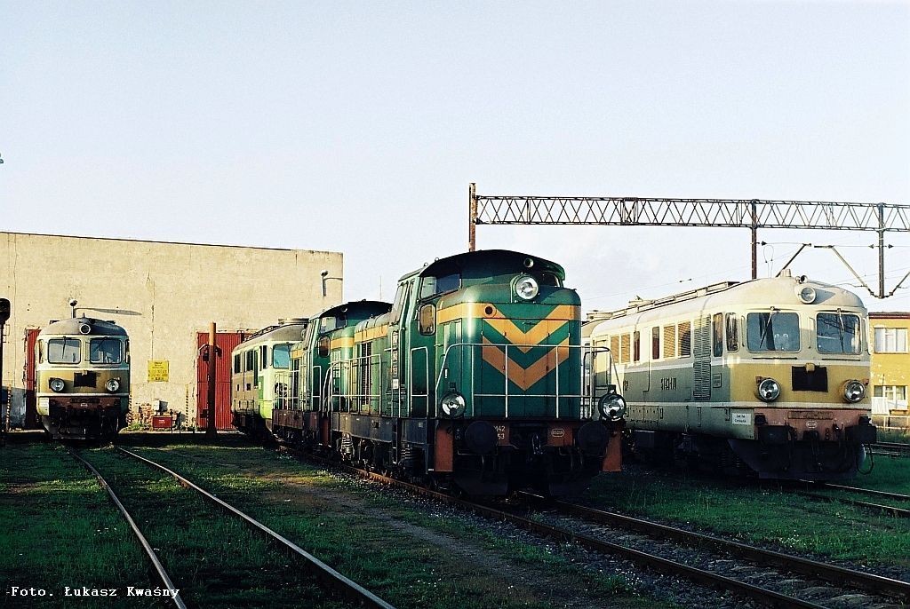 Zbąszyneckie stadko