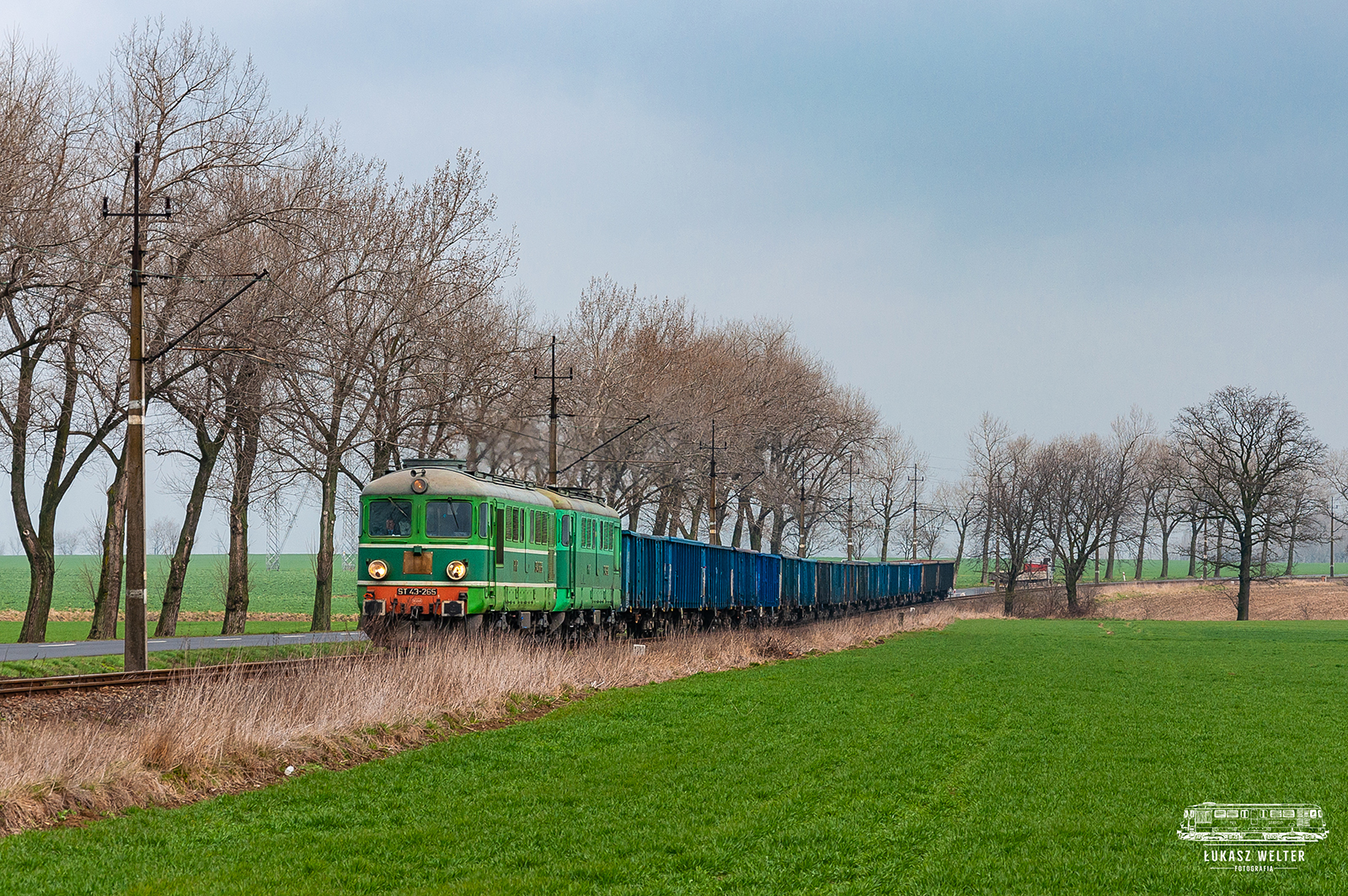 Egzotyka do Krzeniowa