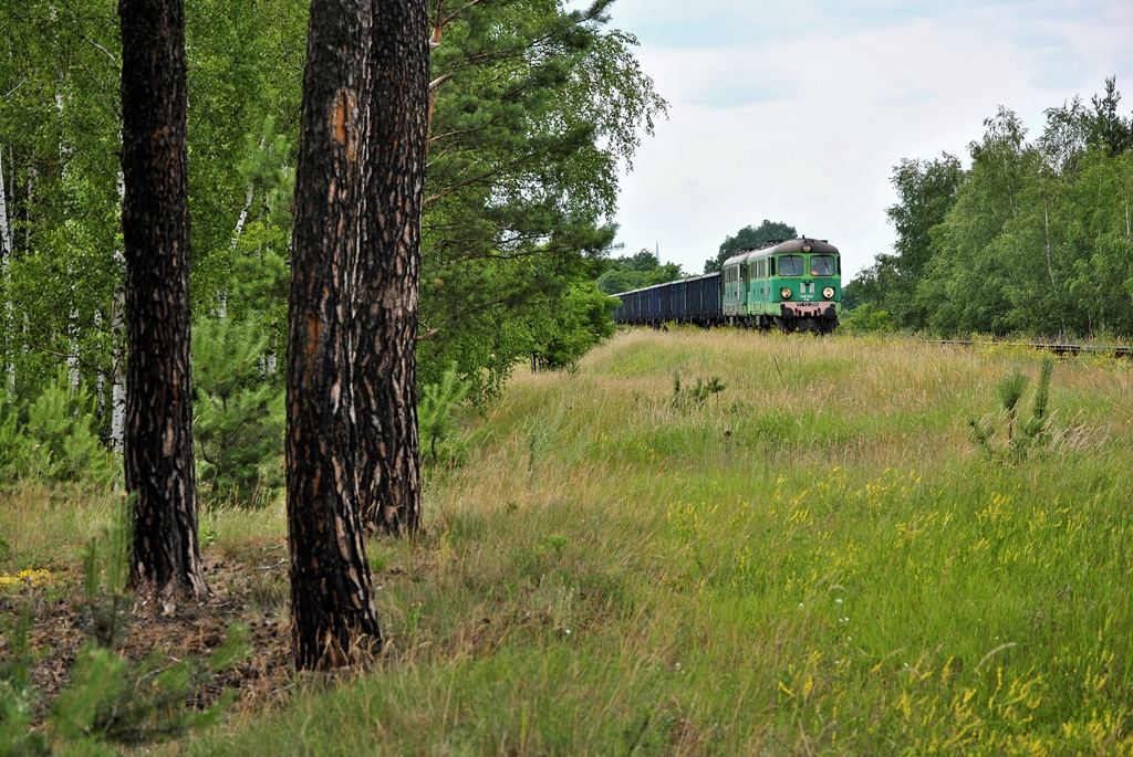 Rumuńskie bliźniaki