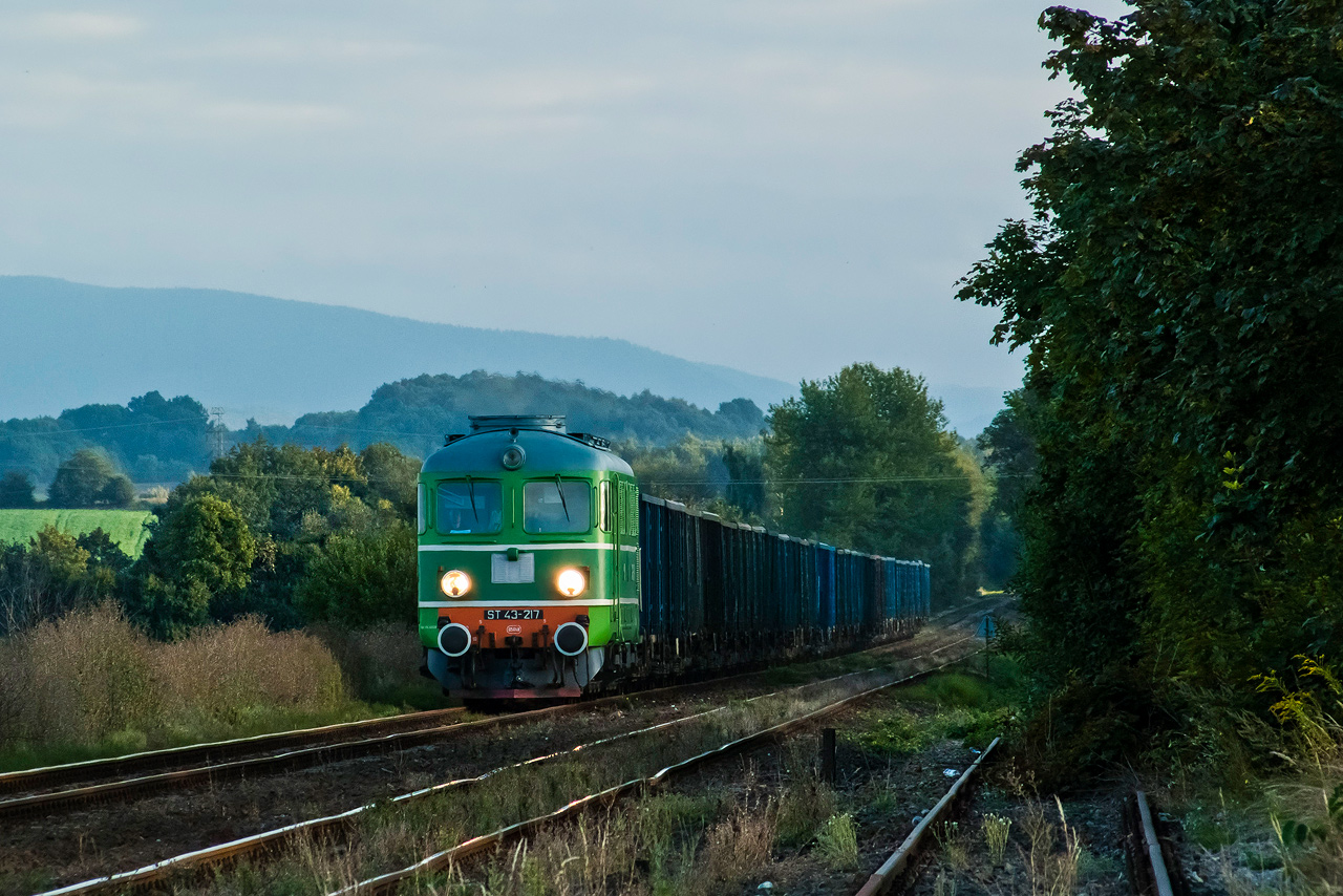 ST43-217