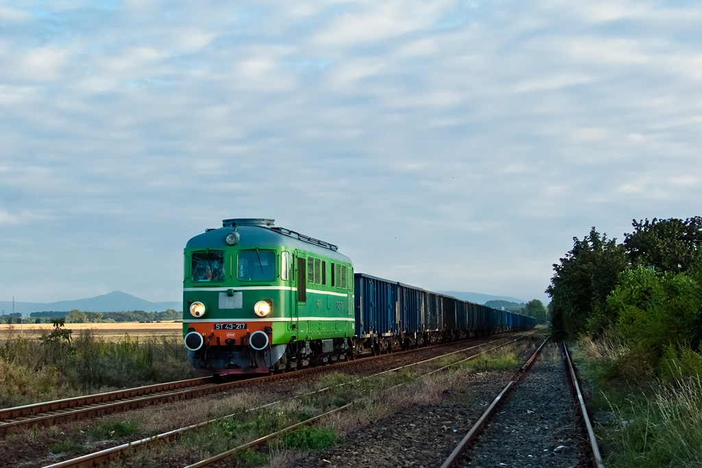 ST43-217