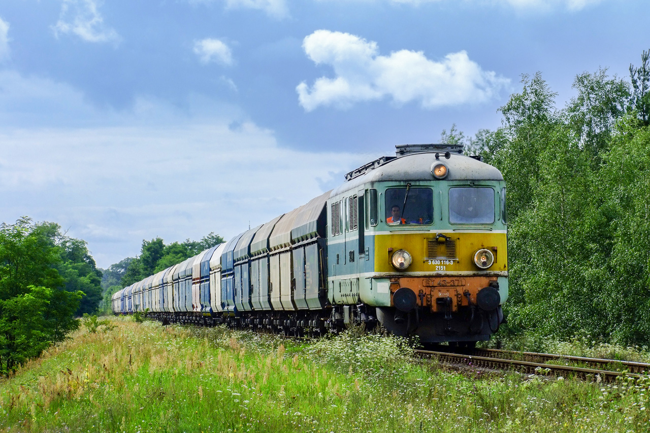 Zwykły dzień na 358