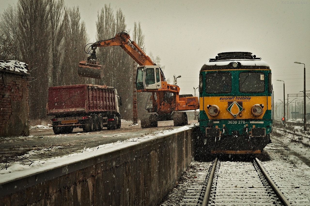 Symbioza rumuna z okejką