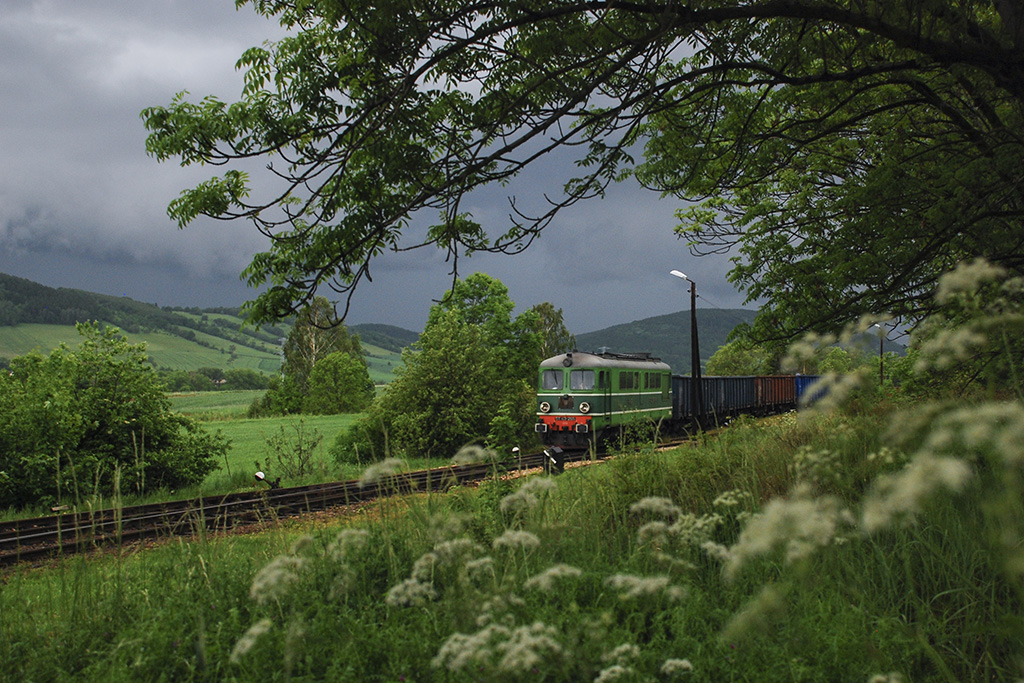 W naturalnym środowisku