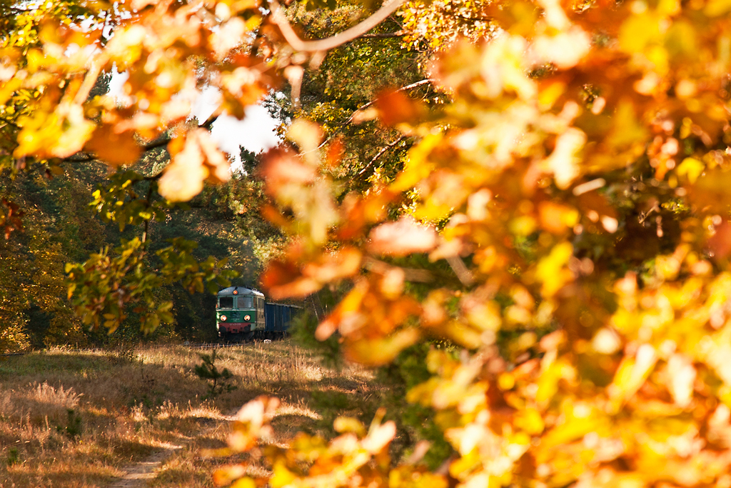 Polska złota jesień