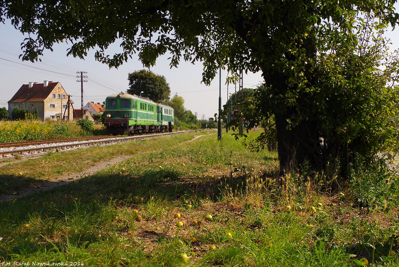 Spod rogoźnickiej jabłonki