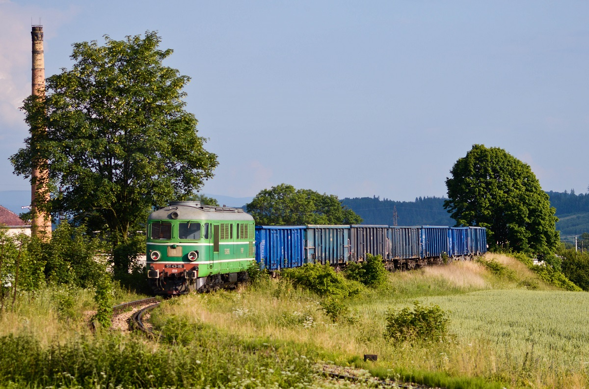 ST43-116 w Ścinawce Średniej.