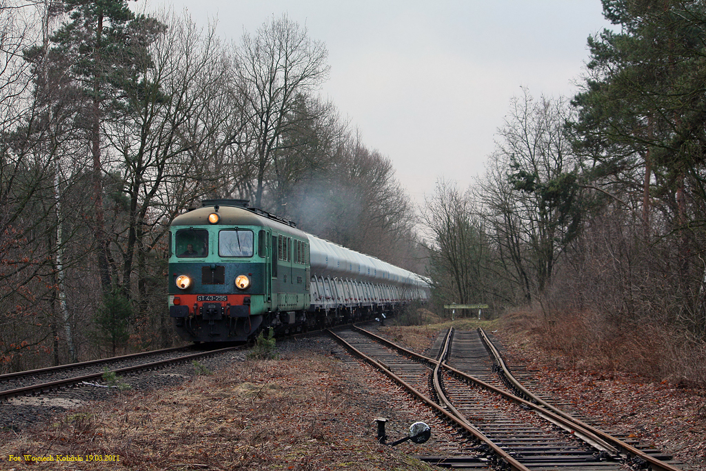 ST43-295