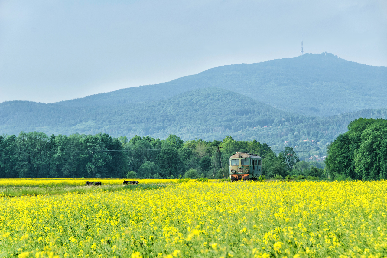 ST43-334 na tle Ślęży